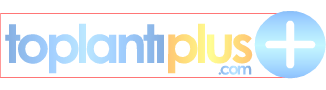 Toplantiplus